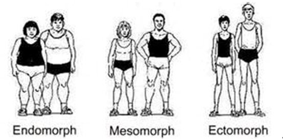Workout & Diet Tips for Different Body Types (Ectomorph, Mesomorph, and Endomorph)