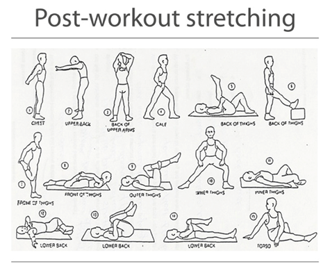 The Benefits of Post Workout Stretching